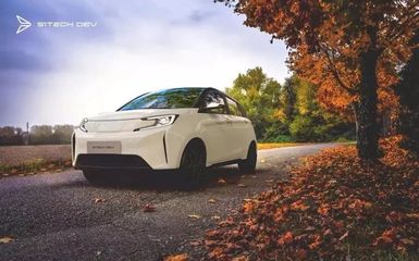 新特汽車首款車型DEV 1下線 426天速成，明年目標(biāo)交付4萬(wàn)臺(tái)